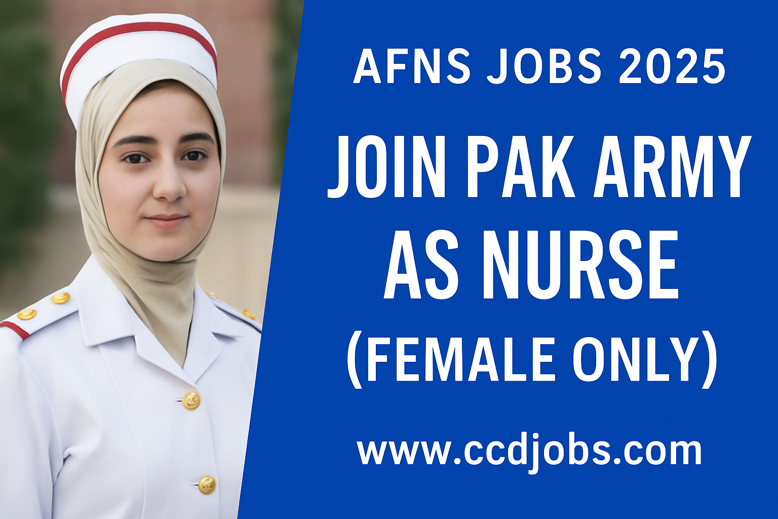 AFNS Jobs 2025 - Online Apply